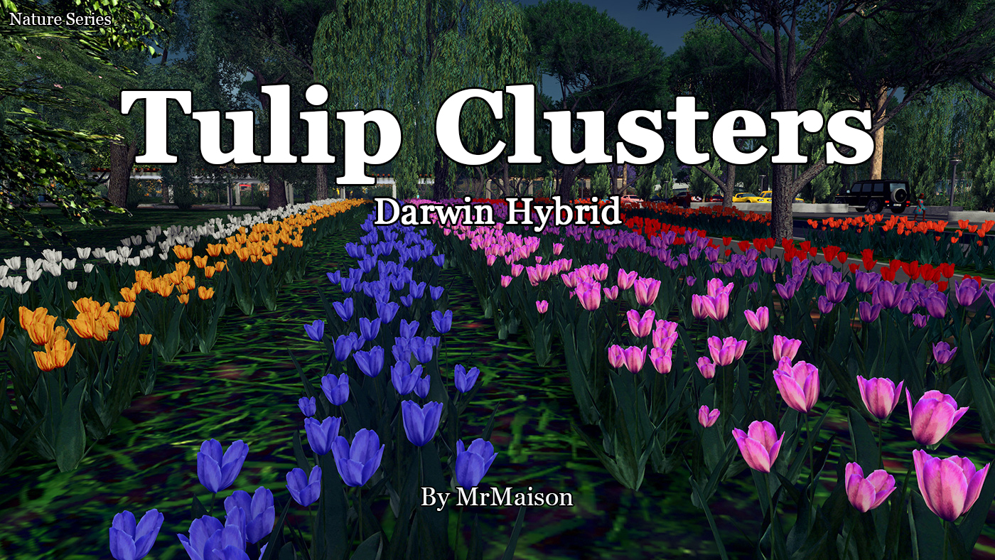 Tulip Clusters Promo.jpg
